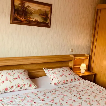 Apartment Ferienwohnung Ruttner *